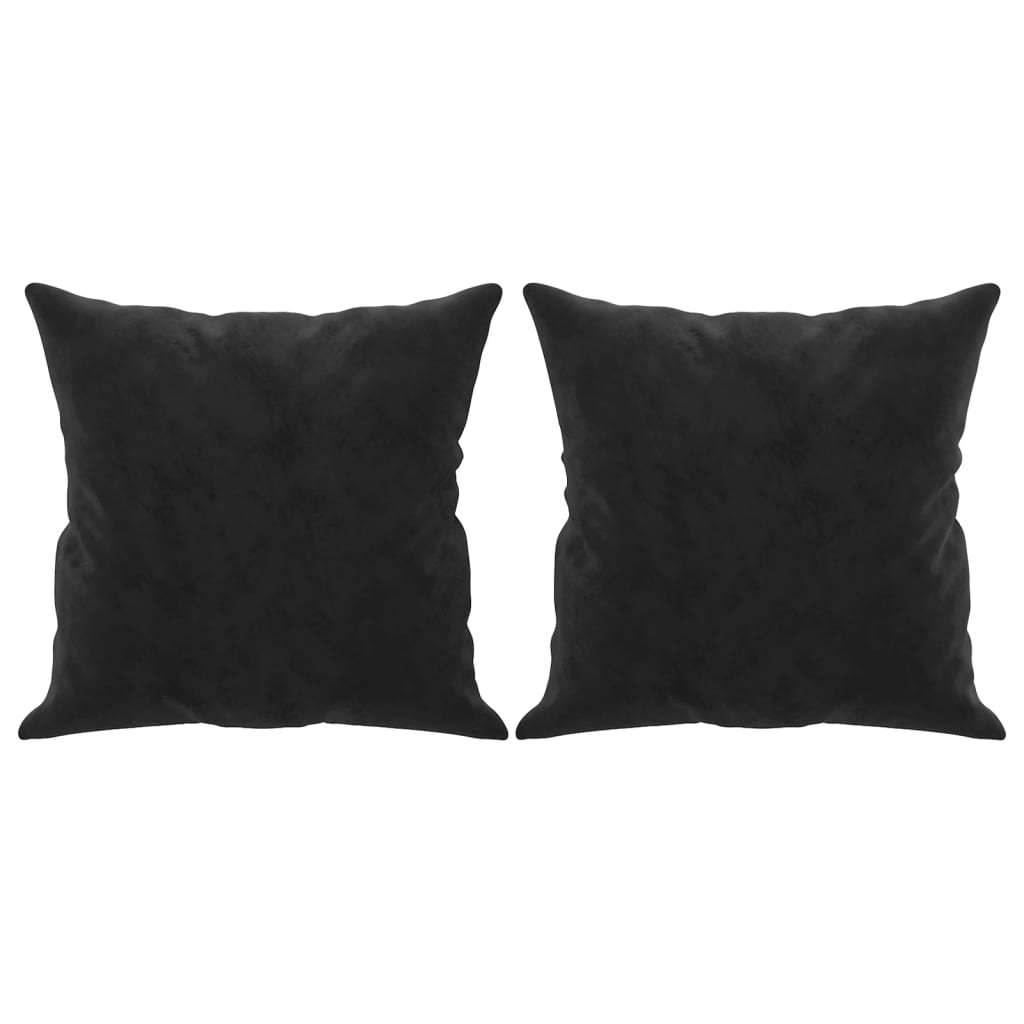 Vidaxl Coussins décoratifs 2 ST 40x40 cm Velvet noir