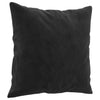 Vidaxl Coussins décoratifs 2 ST 40x40 cm Velvet noir