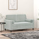 Vidaxl Coussins décoratifs 2 ST 15x50 cm Gris clair en velours