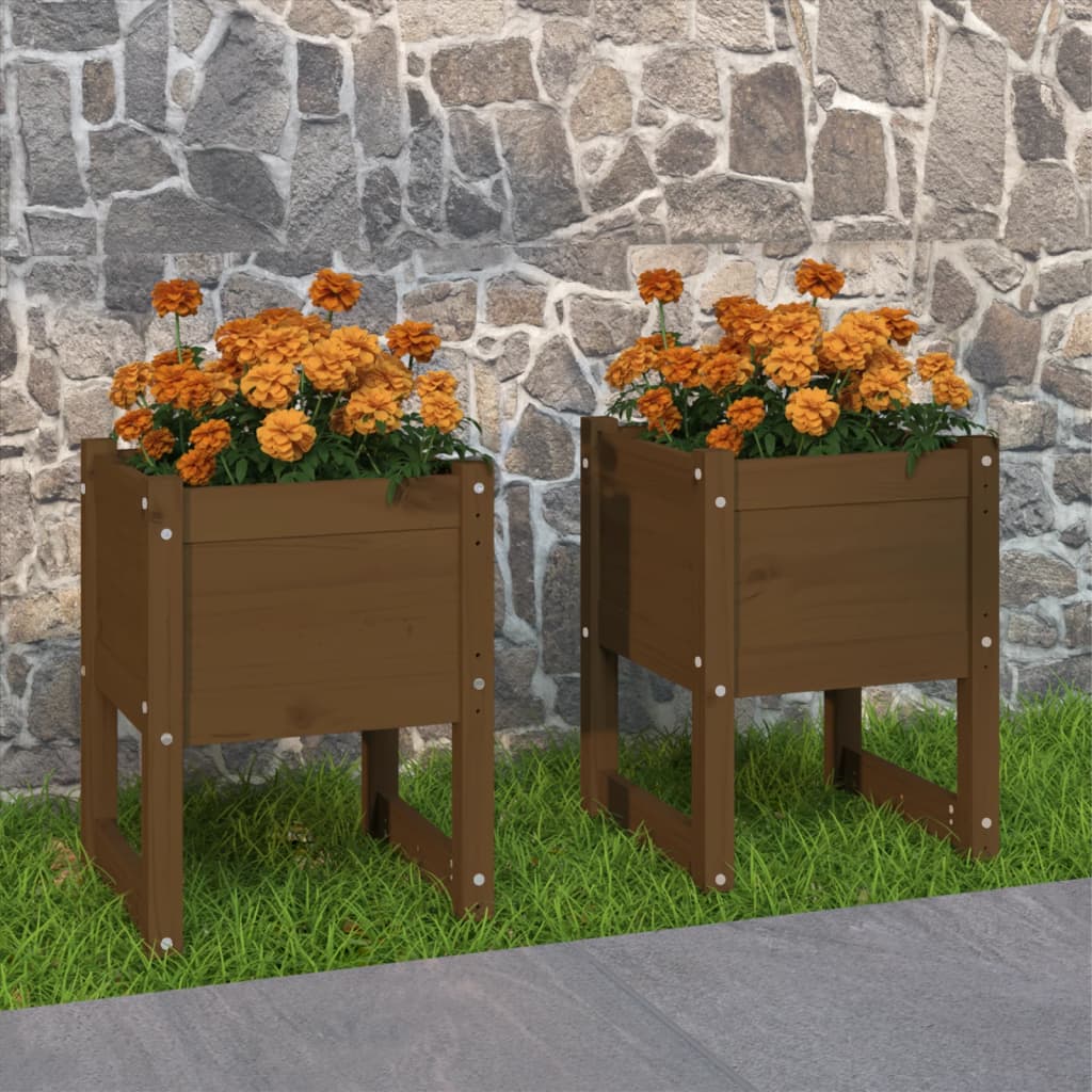 Jardinières vidaxl 2 ST 40x40x52,5 cm