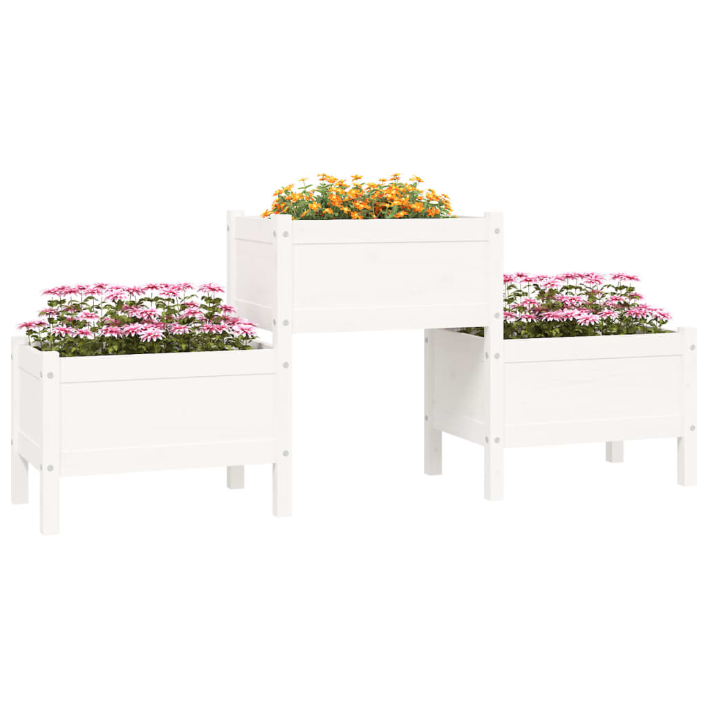 Vidaxl Planning Box 178.5x44x75 cm Pine solide blanc