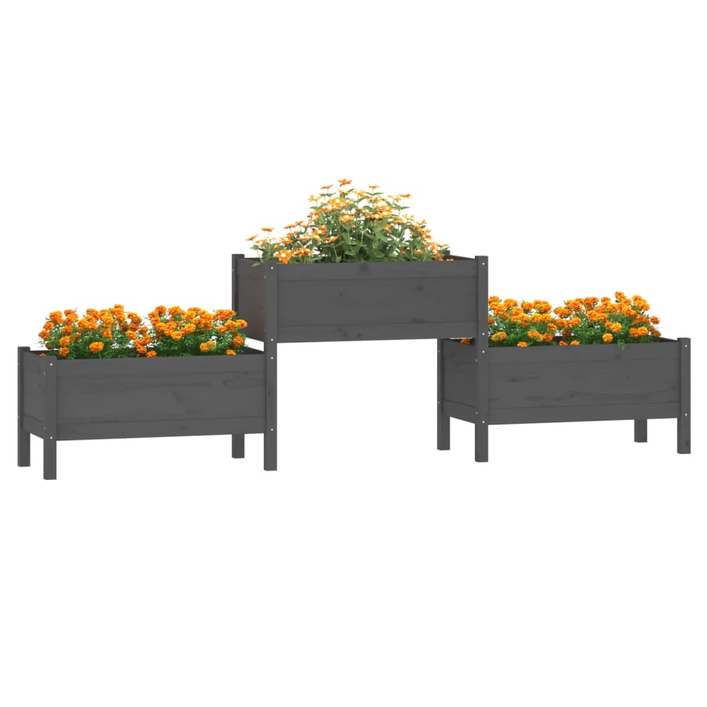 Boîte de planification Vidaxl 245.5x44x75 cm Green de pin massif
