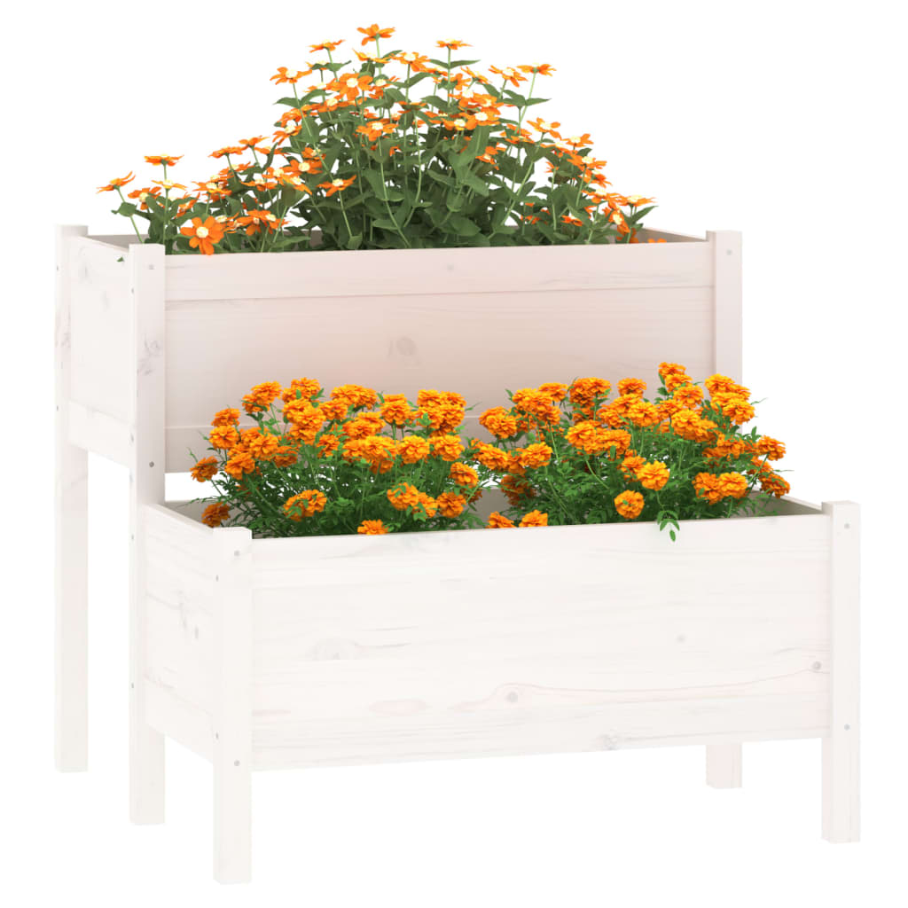 Vidaxl Planning Box 84.5x84x75 cm Pine solide blanc