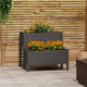 Vidaxl Planning Box 84.5x84x75 cm Gray de pin solide