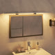 Vidaxl Mirror Lamp LED 13 W 80 cm 3000 K blanc chaud