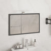 Vidaxl Mirror lampe LED 5,5 W 30 cm 6000 K Cold White