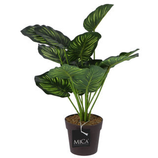 Décorations mica décorations mica art plante calathea en pot vert 40 cm