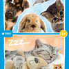 Rebo Productions Baby Animals Line Puzzle Junior 24 24 pièces