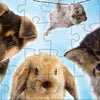 Rebo Productions Baby Animals Line Puzzle Junior 24 24 pièces