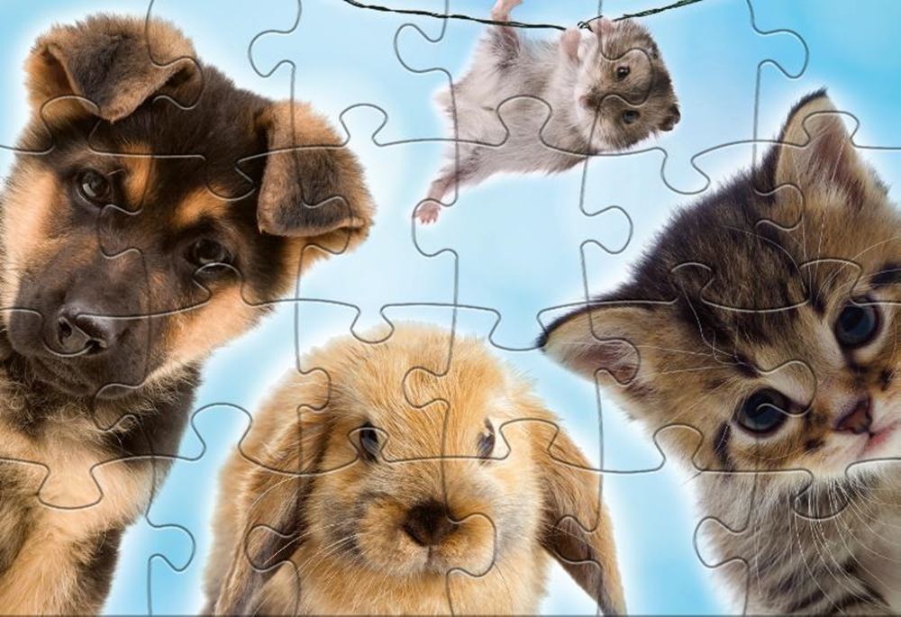 Rebo Productions Baby Animals Line Puzzle Junior 24 24 pièces