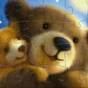 Rebo Productions Sweet Test Bear Pluzzle Junior 24 48 Pièces