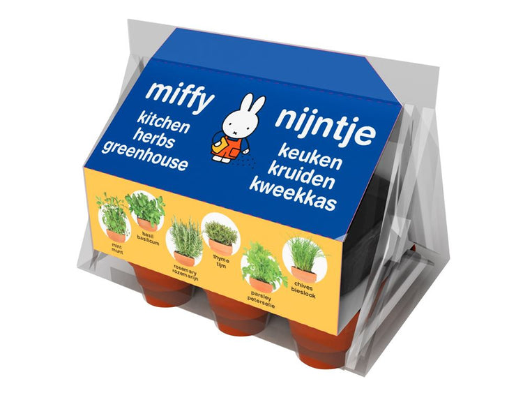Herbes de cuisine Miffy mini serre.