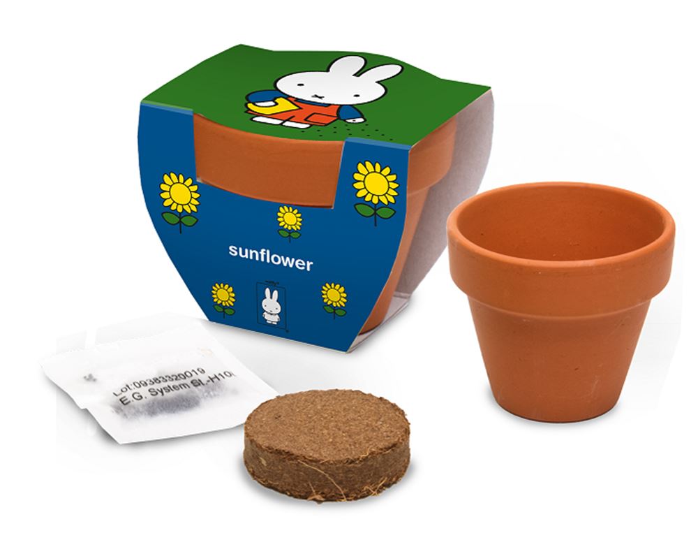Pot en terre cuite Nijntje tournesol.
