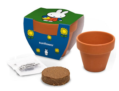 Pot en terre cuite Nijntje tournesol.