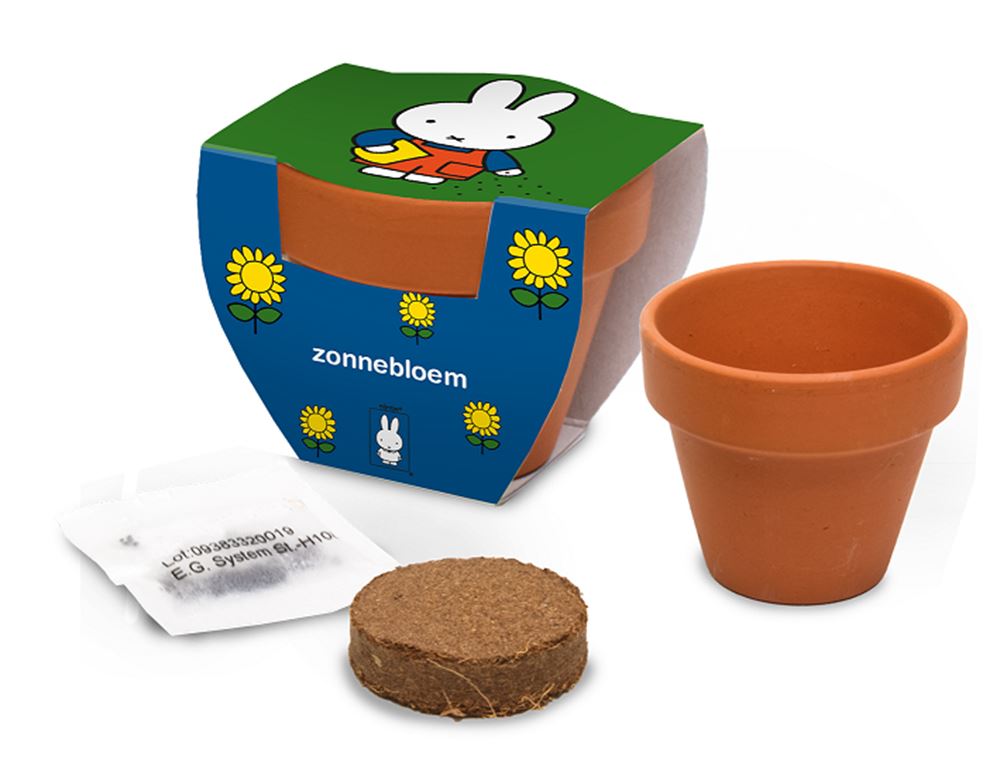 Pot en terre cuite Nijntje tournesol.
