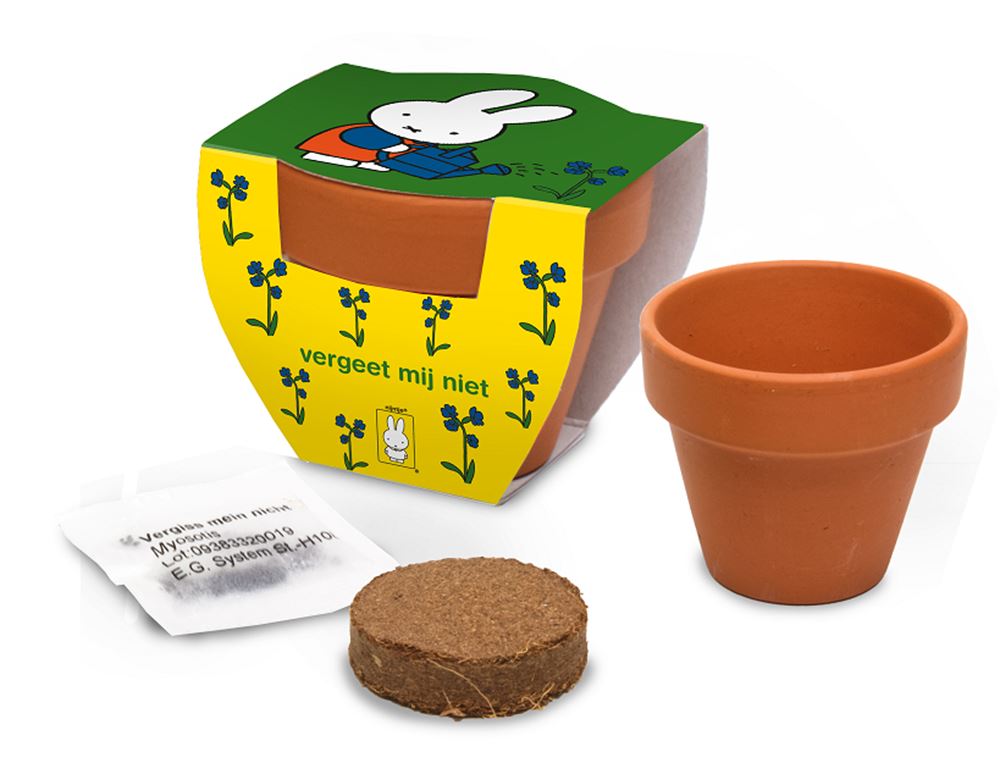 Pot en terre cuite Nijntje ne m'oublie pas.