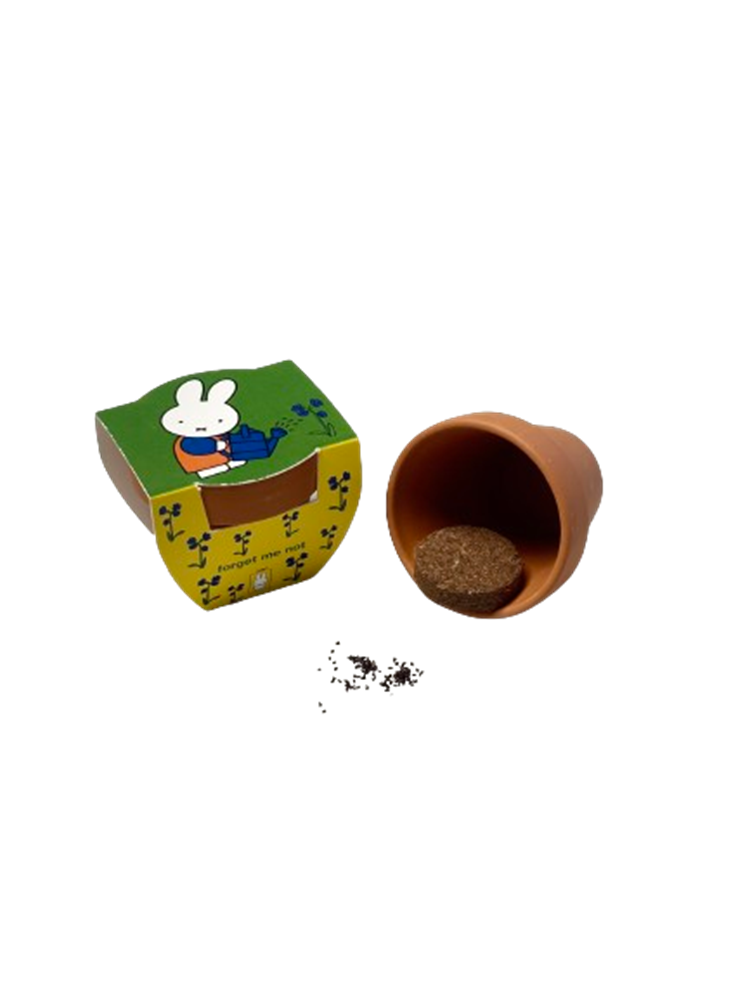 Pot en terre cuite Nijntje ne m'oublie pas.