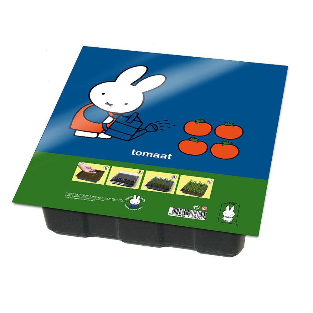 Kit de culture de tomates Miffy.