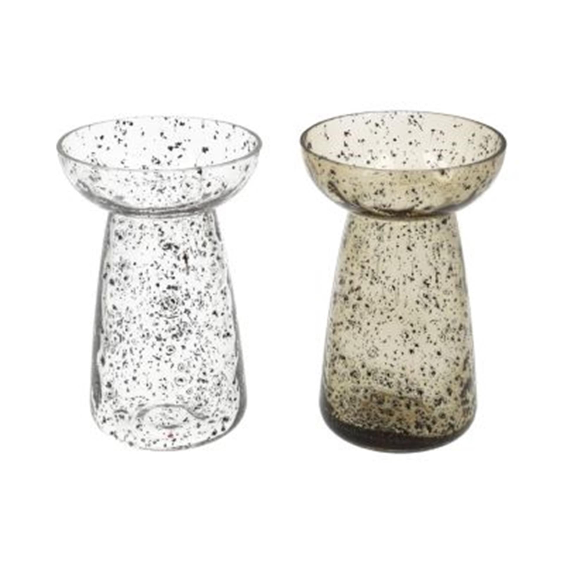 HBx vase vivant naturel verre jacinthe h17d11cm