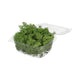 HBx mousse de renne naturelle vivante 50gr vert