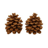 Hbx parfum naturel vivant pommes de pin pinus pinea cannelle
