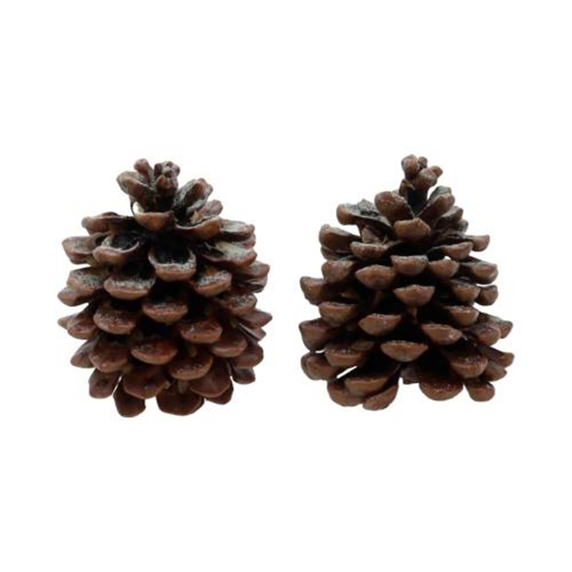 HBx parfum naturel vivant pommes de pin pin 2 pièces