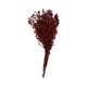 HBx natural living baies séchées vin rouge