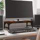 Vidaxl Monitor Standard 55x23x14 cm Couleur de chêne fumé en bois transformé de couleur