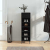 Vidaxx armoire à chaussures 30x35x105 cm bois fini noir