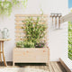 Planteur vidaxl avec rack 79x39.5x114 cm