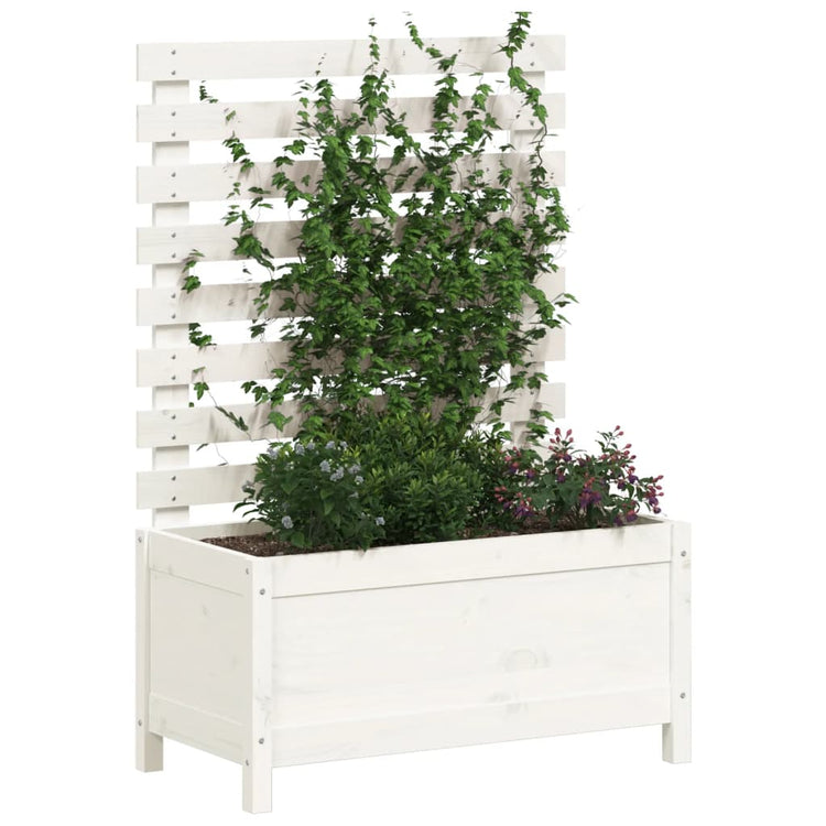 Planteur vidaxl avec rack 79x39.5x114 cm en pin massif blanc