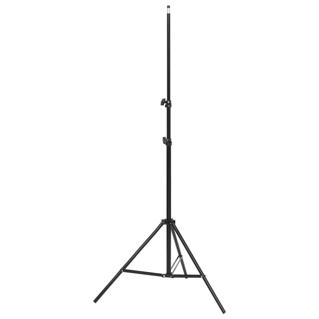 Ensemble de studio photo Vidaxl avec jeu d'éclairage, écran d'arrière-plan et réflecteur