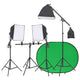 Ensemble de studio photo vidaxl avec ensemble d'éclairage et écran d'arrière-plan