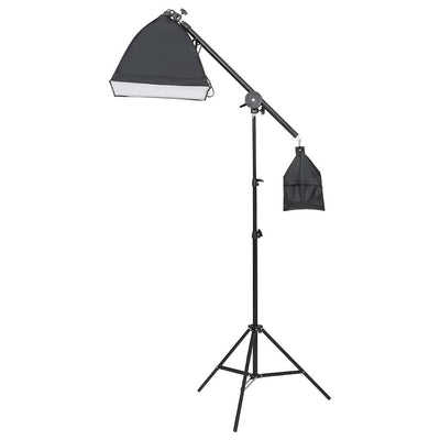 Ensemble de studio photo vidaxl avec ensemble d'éclairage et écran d'arrière-plan