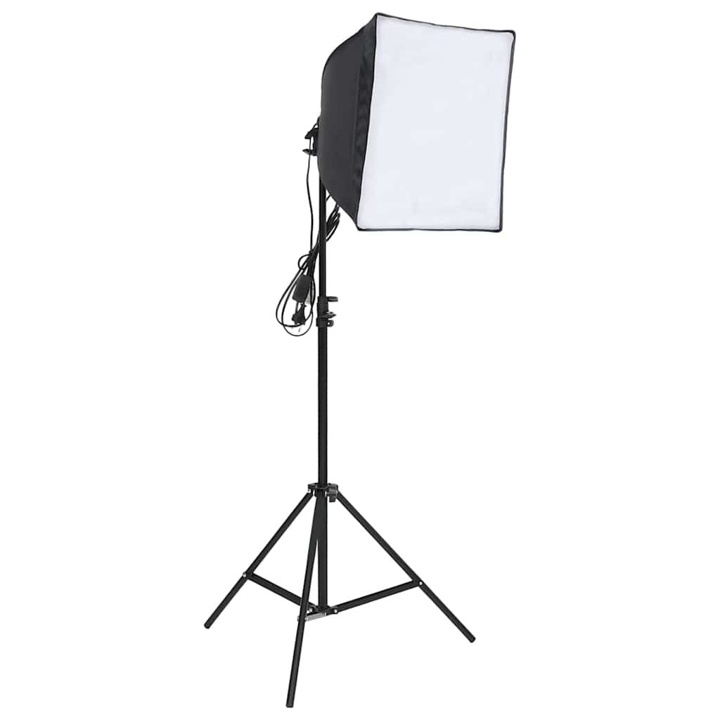 Ensemble de studio photo vidaxl avec ensemble d'éclairage et écran d'arrière-plan