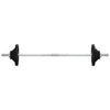 Vidaxl Halter avec des poids 90 kg de fonte