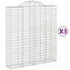 Vidaxl schans paniers 3 ST Vaulté 200x50x220 240 cm fer