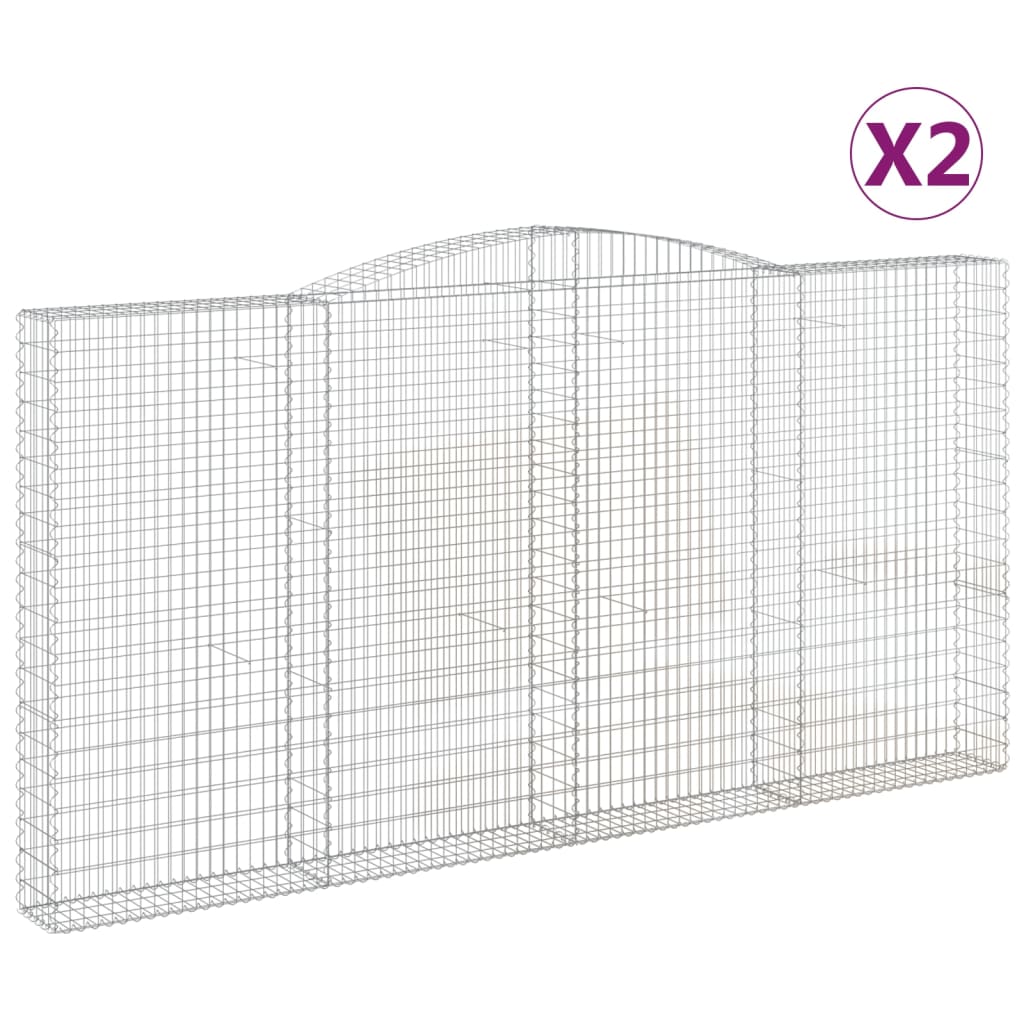 Vidaxl schans paniers 2 ST Vaulté 400x30x200 220 cm fer