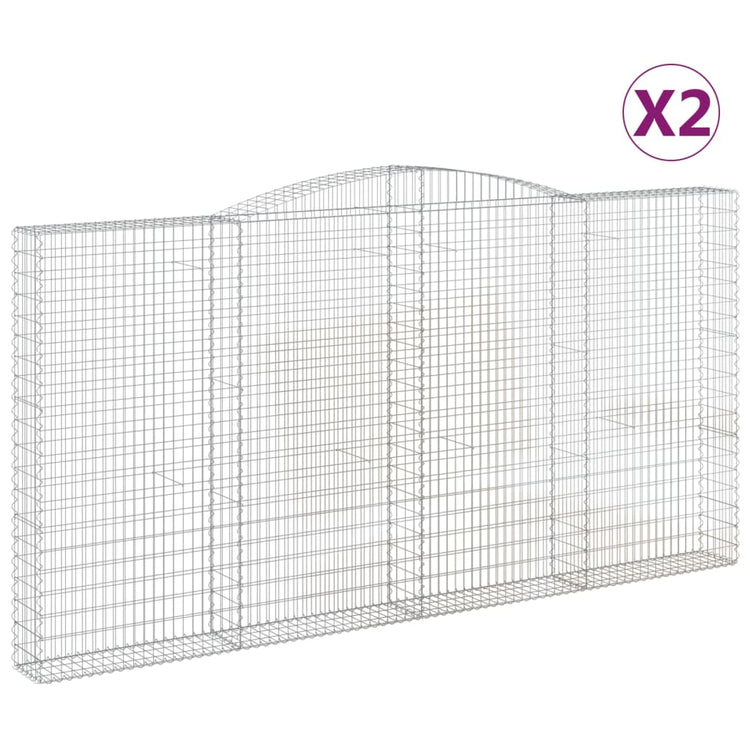 Vidaxl schans paniers 2 ST Vaulté 400x30x200 220 cm fer