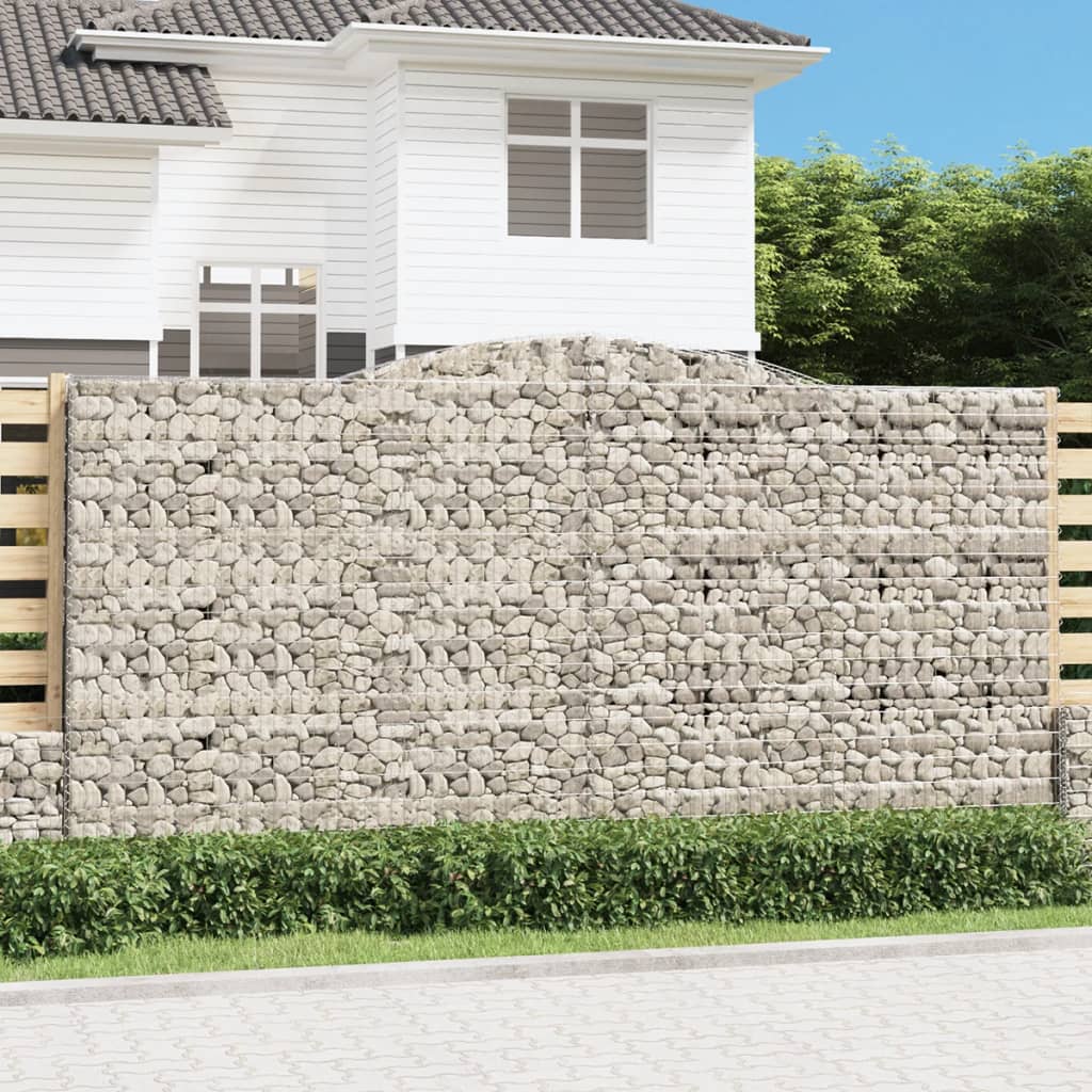 Vidaxl schans paniers 2 ST Vaulté 400x30x200 220 cm fer