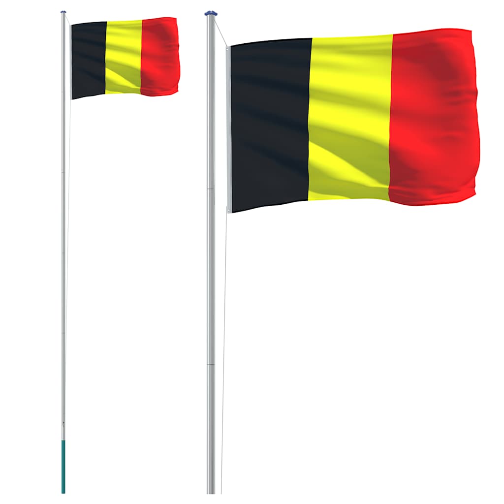 Drapeau Vidaxl avec un mât de 6,23 m en aluminium