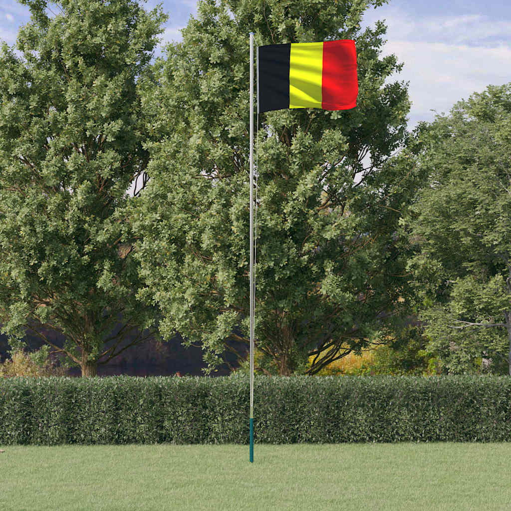 Drapeau Vidaxl avec un mât de 6,23 m en aluminium