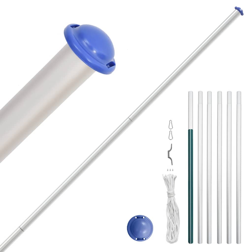 Drapeau Vidaxl avec Flagpole Ireland 6,23 m en aluminium