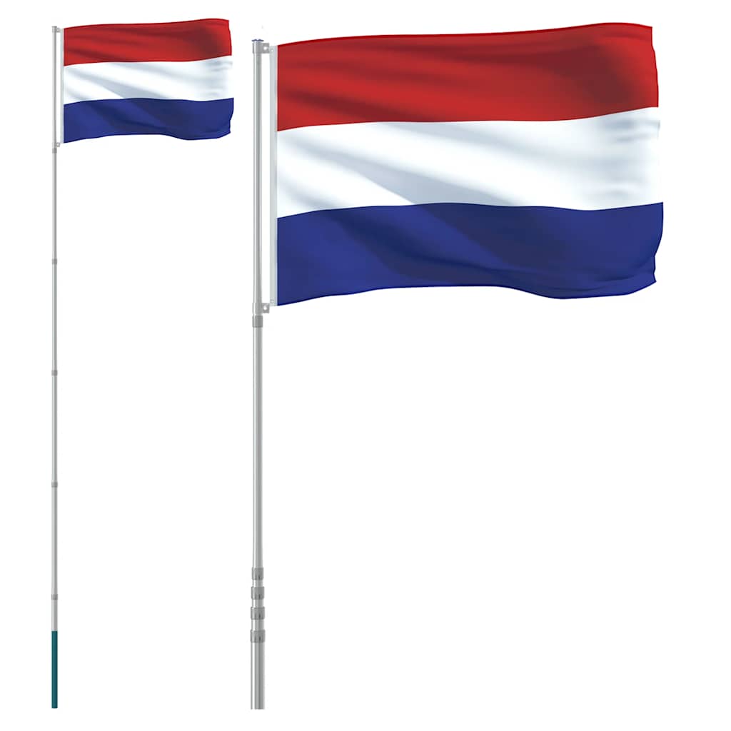 Drapeau Vidaxl avec mât à la nage