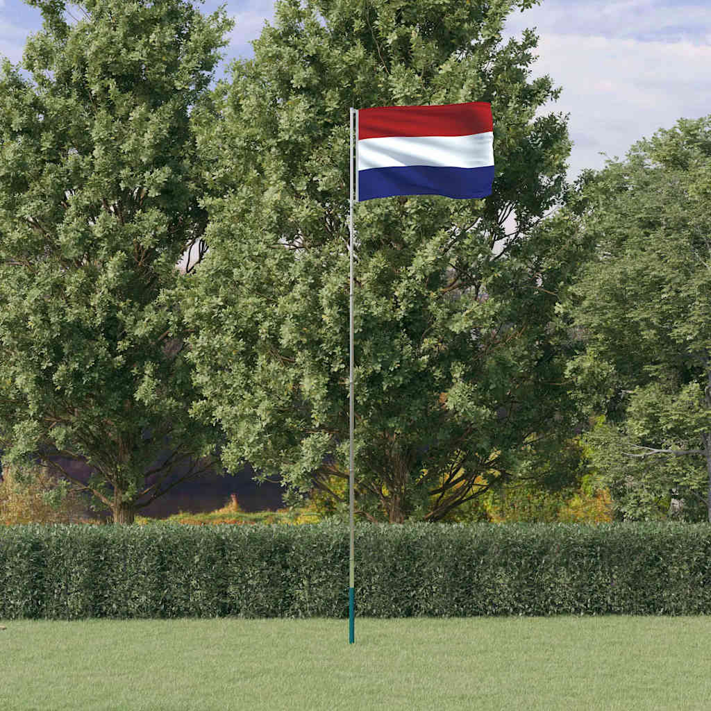 Drapeau Vidaxl avec mât à la nage