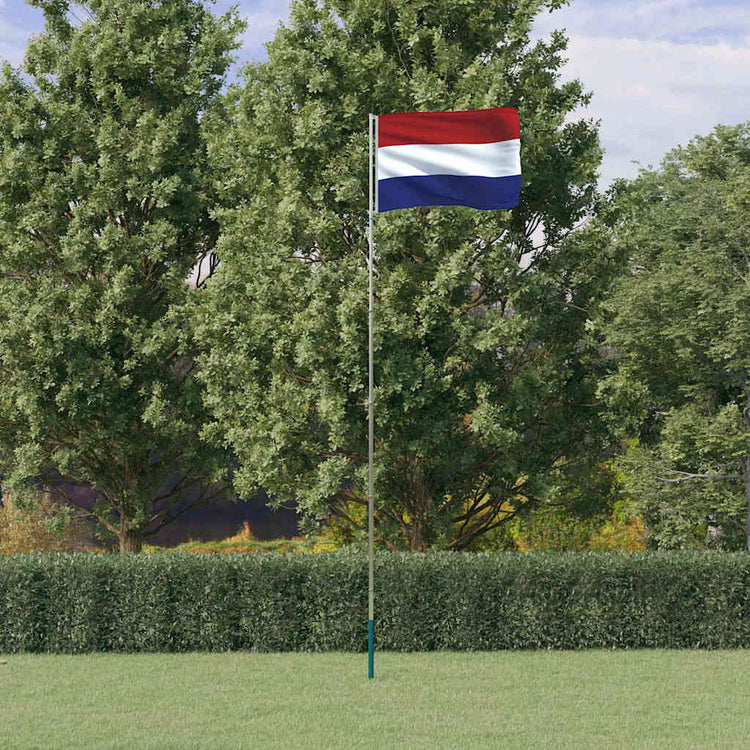 Drapeau Vidaxl avec mât à la nage