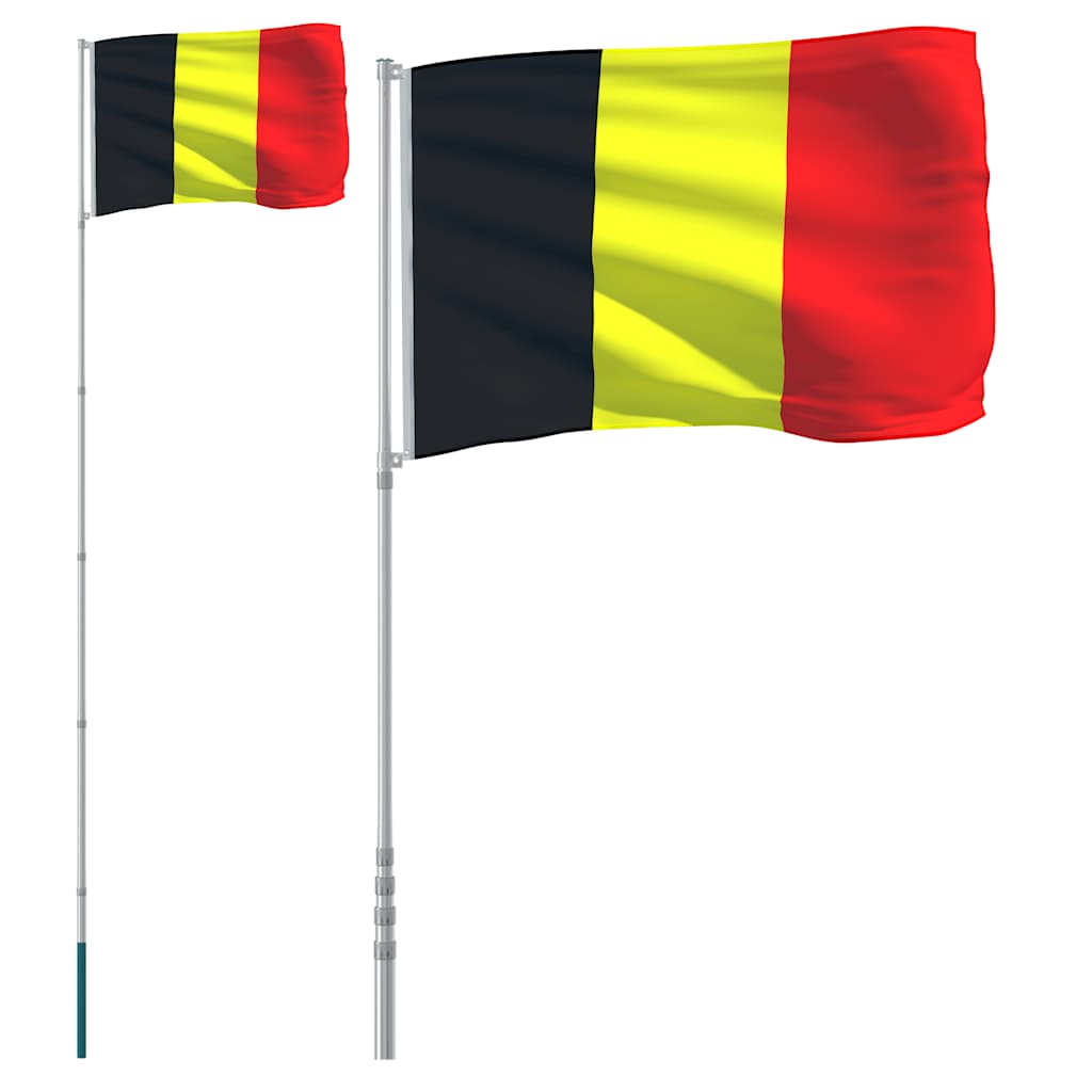 Drapeau Vidaxl avec un mât de 5,55 m en aluminium