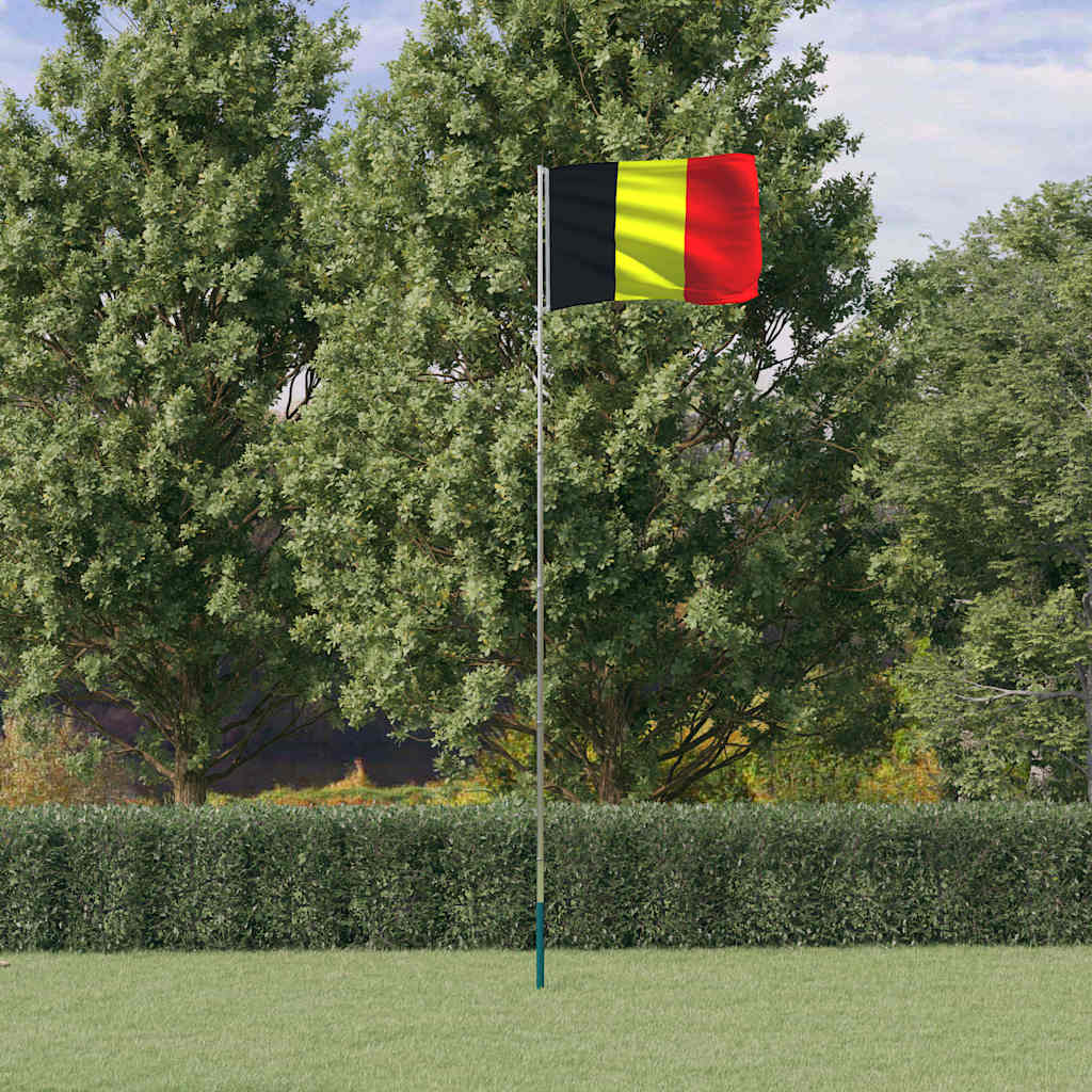 Drapeau Vidaxl avec un mât de 5,55 m en aluminium