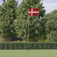 Drapeau Vidaxl avec drapeau Danemark 5,55 m en aluminium