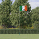 Drapeau Vidaxl avec Flagpole Ireland 5,55 m en aluminium